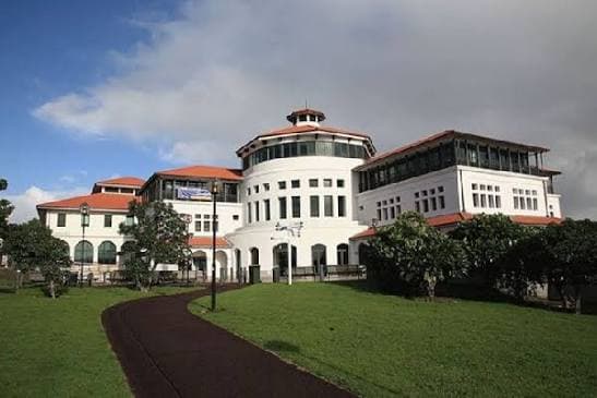 massey university